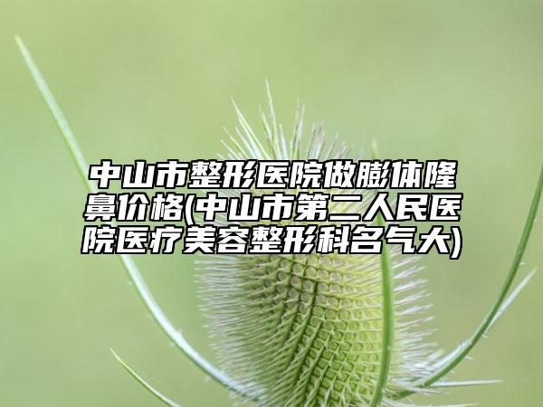 中山市整形醫(yī)院做膨體隆鼻價格(中山市第二人民醫(yī)院醫(yī)療美容整形科名氣大)