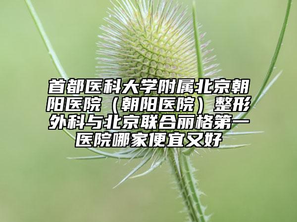 首都醫(yī)科大學(xué)附屬北京朝陽醫(yī)院（朝陽醫(yī)院）整形外科與北京聯(lián)合麗格第一醫(yī)院哪家便宜又好