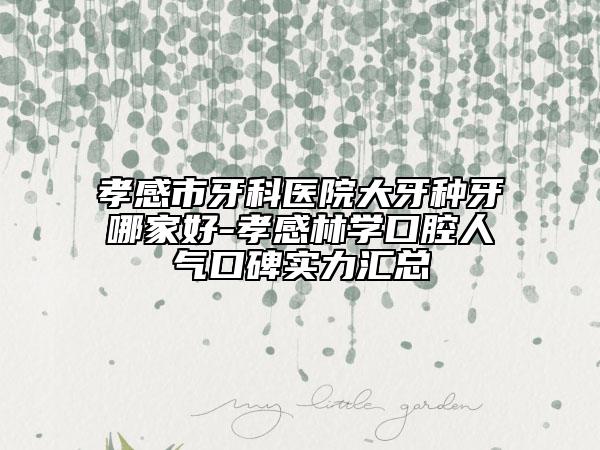 孝感市牙科醫(yī)院大牙種牙哪家好-孝感林學(xué)口腔人氣口碑實(shí)力匯總