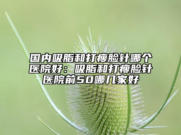 國內(nèi)吸脂和打瘦臉針哪個醫(yī)院好:吸脂和打瘦臉針醫(yī)院前50哪幾家好