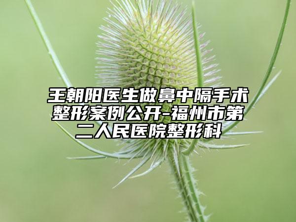 王朝陽醫(yī)生做鼻中隔手術(shù)整形案例公開-福州市第二人民醫(yī)院整形科