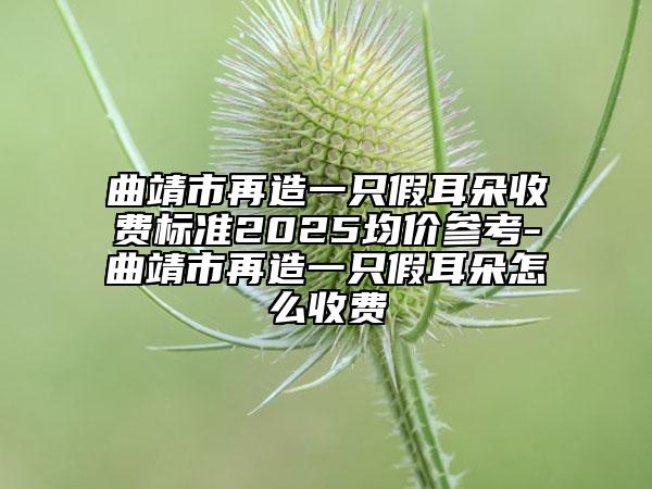 曲靖市再造一只假耳朵收費(fèi)標(biāo)準(zhǔn)2025均價(jià)參考-曲靖市再造一只假耳朵怎么收費(fèi)