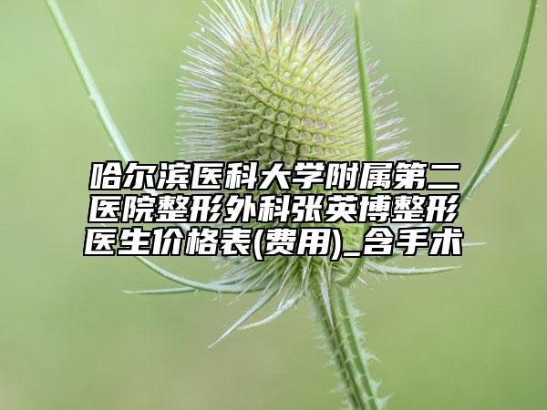 哈爾濱醫(yī)科大學(xué)附屬第二醫(yī)院整形外科張英博整形醫(yī)生價(jià)格表(費(fèi)用)_含手術(shù)