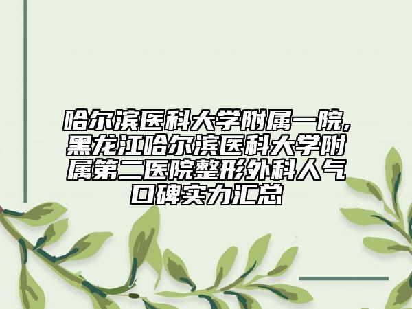 哈爾濱醫(yī)科大學(xué)附屬一院,黑龍江哈爾濱醫(yī)科大學(xué)附屬第二醫(yī)院整形外科人氣口碑實(shí)力匯總