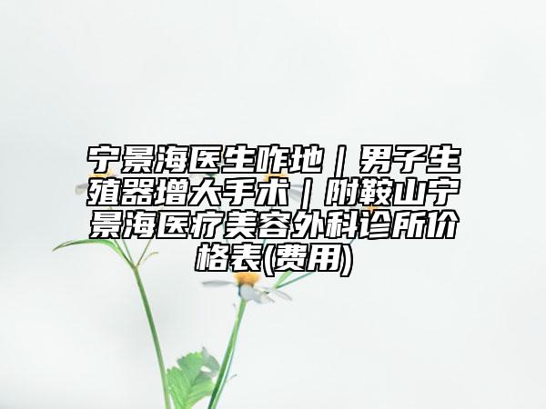 寧景海醫(yī)生咋地|男子生殖器增大手術(shù)|附鞍山寧景海醫(yī)療美容外科診所價格表(費用)