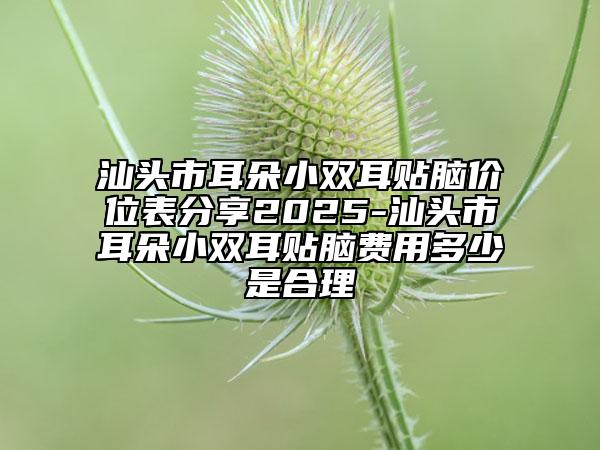 汕頭市耳朵小雙耳貼腦價(jià)位表分享2025-汕頭市耳朵小雙耳貼腦費(fèi)用多少是合理