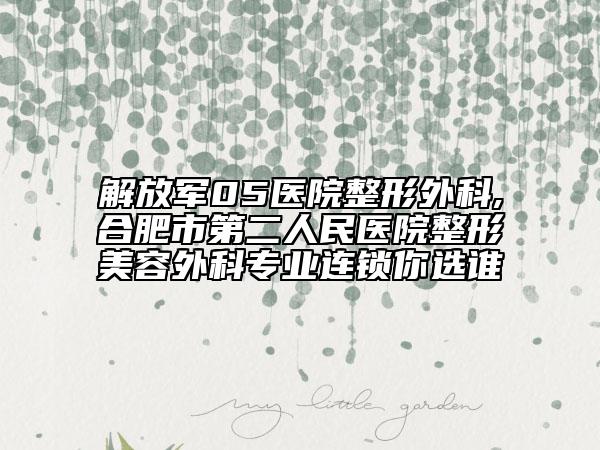 解放軍05醫(yī)院整形外科,合肥市第二人民醫(yī)院整形美容外科專業(yè)連鎖你選誰