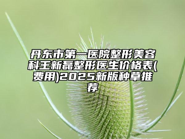 丹東市第一醫(yī)院整形美容科王新磊整形醫(yī)生價格表(費用)2025新版種草推薦