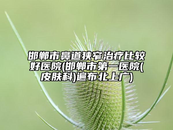 邯鄲市鼻道狹窄治療比較好醫(yī)院(邯鄲市第一醫(yī)院(皮膚科)遍布北上廣)