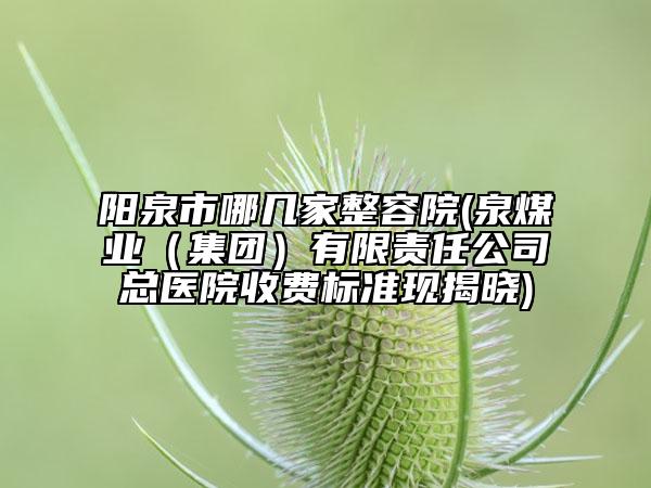 陽(yáng)泉市哪幾家整容院(泉煤業(yè)（集團(tuán)）有限責(zé)任公司總醫(yī)院收費(fèi)標(biāo)準(zhǔn)現(xiàn)揭曉)