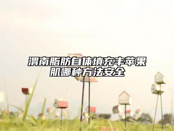 渭南脂肪自體填充豐蘋果肌哪種方法安全