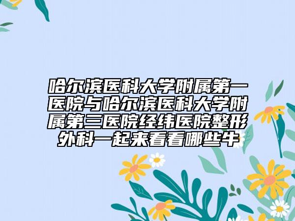 哈爾濱醫(yī)科大學附屬第一醫(yī)院與哈爾濱醫(yī)科大學附屬第三醫(yī)院經緯醫(yī)院整形外科一起來看看哪些牛