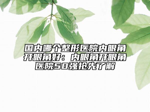 國內(nèi)哪個(gè)整形醫(yī)院內(nèi)眼角開眼角好：內(nèi)眼角開眼角醫(yī)院50強(qiáng)搶先了解