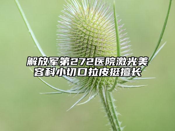 解放軍第272醫(yī)院激光美容科小切口拉皮挺擅長