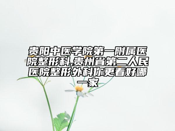 貴陽中醫(yī)學(xué)院第一附屬醫(yī)院整形科,貴州省第二人民醫(yī)院整形外科你更看好哪一家