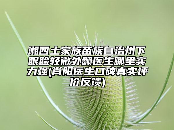 湘西土家族苗族自治州下眼瞼輕微外翻醫(yī)生哪里實(shí)力強(qiáng)(肖陽(yáng)醫(yī)生口碑真實(shí)評(píng)價(jià)反饋)