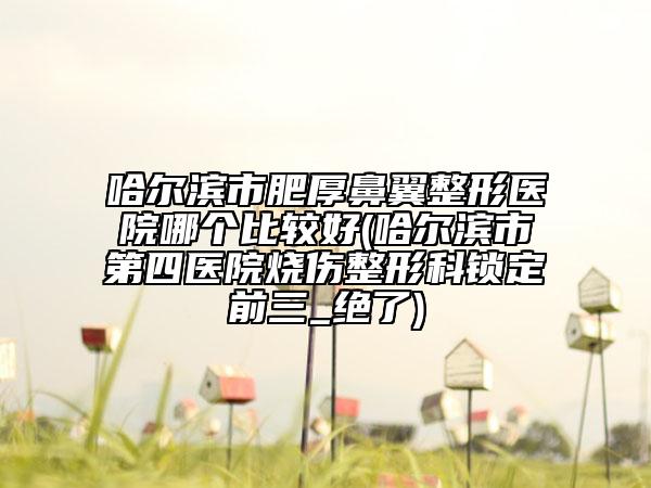 哈爾濱市肥厚鼻翼整形醫(yī)院哪個(gè)比較好(哈爾濱市第四醫(yī)院燒傷整形科鎖定前三_絕了)