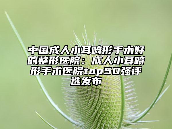 中國成人小耳畸形手術(shù)好的整形醫(yī)院:成人小耳畸形手術(shù)醫(yī)院top50強評選發(fā)布