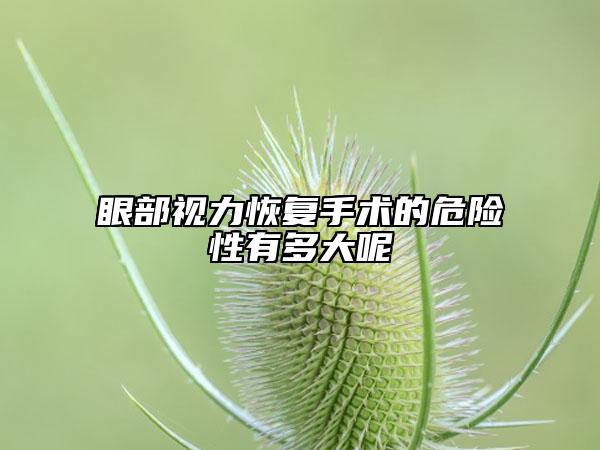 眼部視力恢復(fù)手術(shù)的危險(xiǎn)性有多大呢