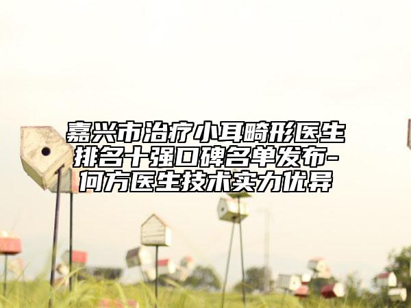 嘉興市治療小耳畸形醫(yī)生排名十強口碑名單發(fā)布-何方醫(yī)生技術實力優(yōu)異