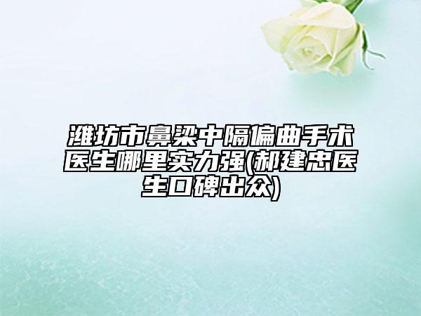 濰坊市鼻梁中隔偏曲手術(shù)醫(yī)生哪里實力強(郝建忠醫(yī)生口碑出眾)