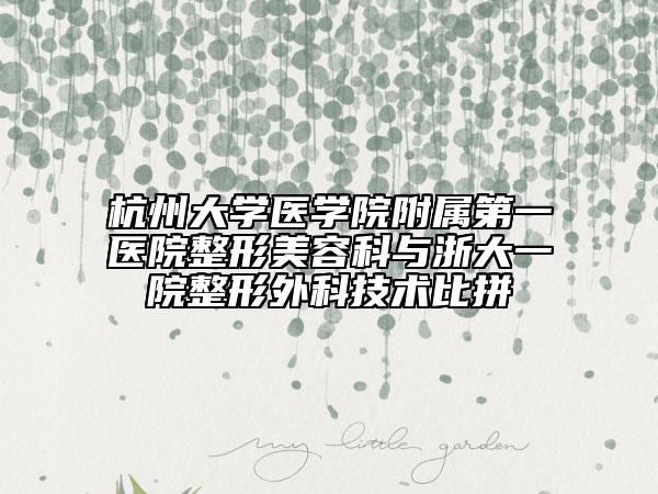 杭州大學(xué)醫(yī)學(xué)院附屬第一醫(yī)院整形美容科與浙大一院整形外科技術(shù)比拼