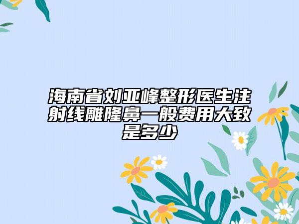海南省劉亞峰整形醫(yī)生注射線雕隆鼻一般費用大致是多少