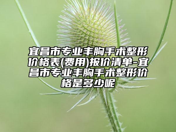 宜昌市專業(yè)豐胸手術整形價格表(費用)報價清單-宜昌市專業(yè)豐胸手術整形價格是多少呢