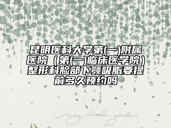 昆明醫(yī)科大學第(一)附屬醫(yī)院（第(一)臨床醫(yī)學院）整形科臉部下顎吸脂要提前多久預約嗎
