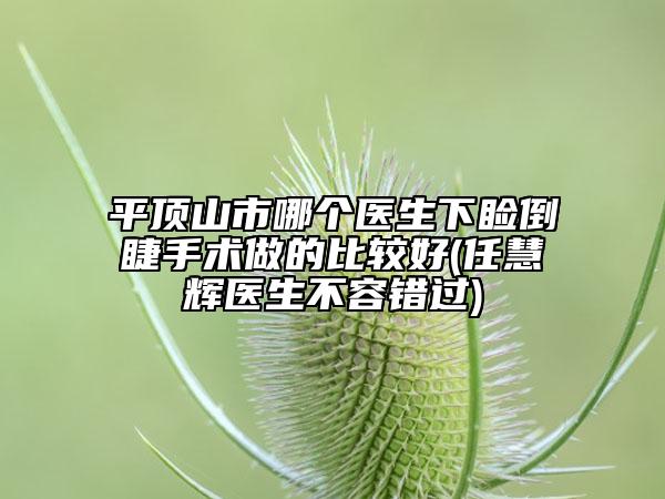 平頂山市哪個醫(yī)生下瞼倒睫手術(shù)做的比較好(任慧輝醫(yī)生不容錯過)