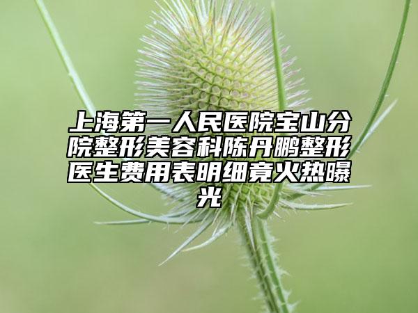 上海第一人民醫(yī)院寶山分院整形美容科陳丹鵬整形醫(yī)生費用表明細竟火熱曝光