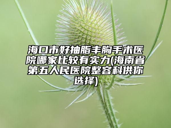 ?？谑泻贸橹S胸手術(shù)醫(yī)院哪家比較有實(shí)力(海南省第五人民醫(yī)院整容科供你選擇)