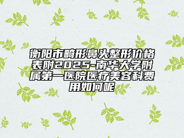 衡陽(yáng)市畸形鼻頭整形價(jià)格表附2025-南華大學(xué)附屬第一醫(yī)院醫(yī)療美容科費(fèi)用如何呢