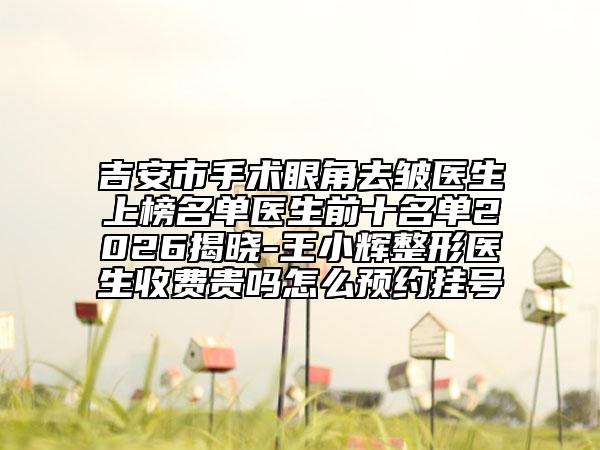 吉安市手術(shù)眼角去皺醫(yī)生上榜名單醫(yī)生前十名單2026揭曉-王小輝整形醫(yī)生收費(fèi)貴嗎怎么預(yù)約掛號(hào)