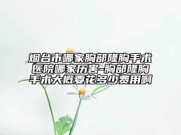 煙臺市哪家胸部隆胸手術醫(yī)院哪家歷害-胸部隆胸手術大概要花多少費用啊