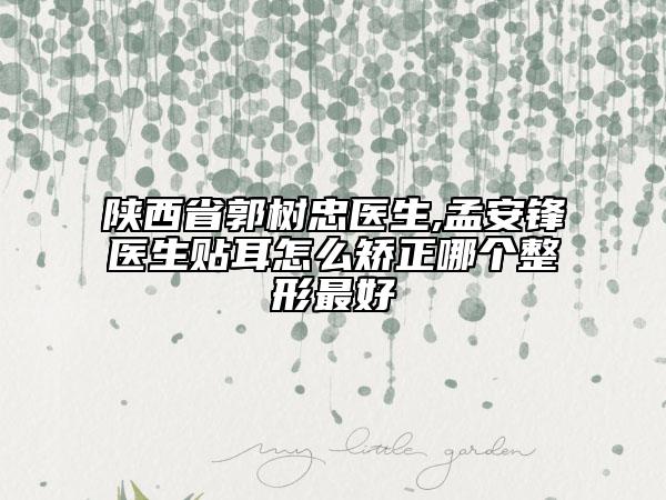 陜西省郭樹忠醫(yī)生,孟安鋒醫(yī)生貼耳怎么矯正哪個整形最好