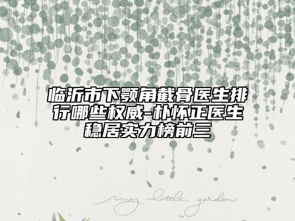 臨沂市下顎角截骨醫(yī)生排行哪些權(quán)威-樸懷正醫(yī)生穩(wěn)居實力榜前三
