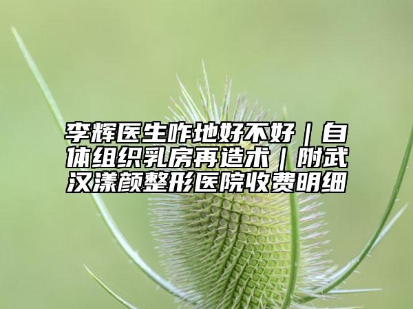 李輝醫(yī)生咋地好不好|自體組織乳房再造術|附武漢漾顏整形醫(yī)院收費明細
