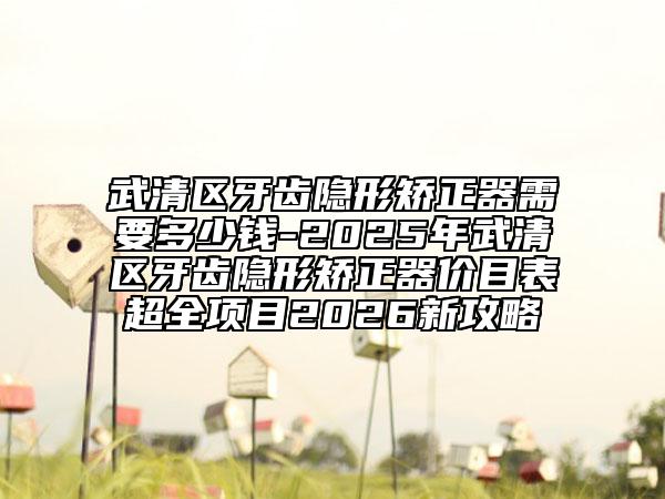武清區(qū)牙齒隱形矯正器需要多少錢(qián)-2025年武清區(qū)牙齒隱形矯正器價(jià)目表超全項(xiàng)目2026新攻略
