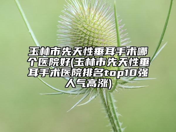 玉林市先天性垂耳手術(shù)哪個醫(yī)院好(玉林市先天性垂耳手術(shù)醫(yī)院排名top10強人氣高漲)