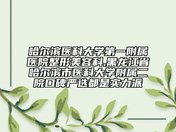 哈爾濱醫(yī)科大學(xué)第一附屬醫(yī)院整形美容科,黑龍江省哈爾濱市醫(yī)科大學(xué)附屬二院口碑嚴(yán)選都是實力派