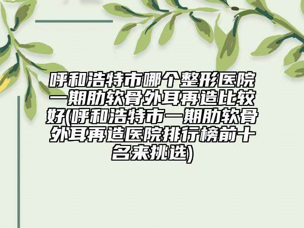 呼和浩特市哪個整形醫(yī)院一期肋軟骨外耳再造比較好(呼和浩特市一期肋軟骨外耳再造醫(yī)院排行榜前十名來挑選)
