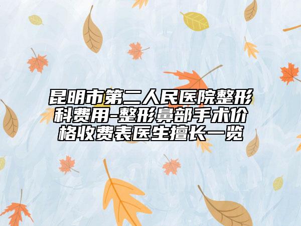昆明市第二人民醫(yī)院整形科費(fèi)用-整形鼻部手術(shù)價(jià)格收費(fèi)表醫(yī)生擅長一覽