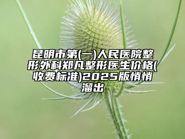 昆明市第(一)人民醫(yī)院整形外科鄭凡整形醫(yī)生價(jià)格(收費(fèi)標(biāo)準(zhǔn))2025版悄悄溜出