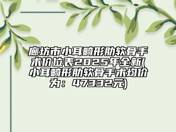 廊坊市小耳畸形肋軟骨手術(shù)價位表2025年全新(小耳畸形肋軟骨手術(shù)均價為:47332元)