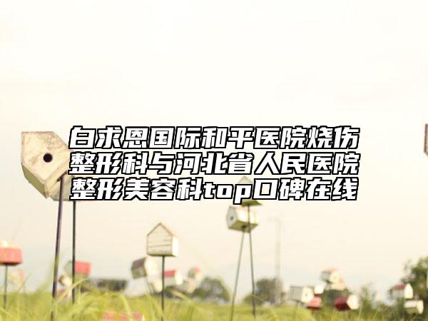白求恩國際和平醫(yī)院燒傷整形科與河北省人民醫(yī)院整形美容科top口碑在線