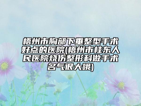 梧州市胸部下垂整型手術好點的醫(yī)院(梧州市桂東人民醫(yī)院燒傷整形科做手術名氣很大哦)
