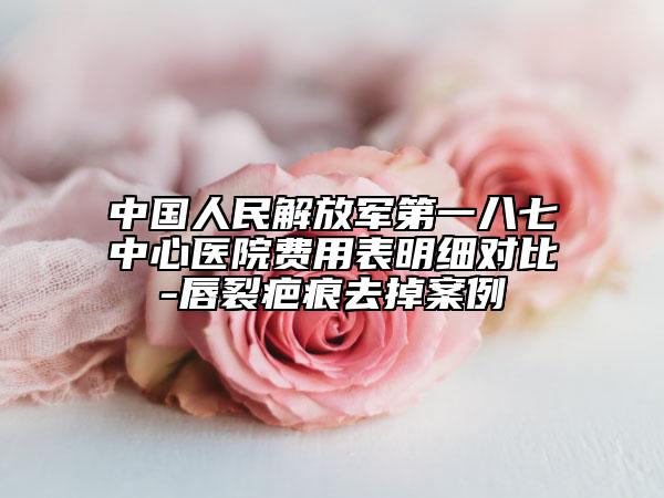 中國人民解放軍第一八七中心醫(yī)院費(fèi)用表明細(xì)對(duì)比-唇裂疤痕去掉案例