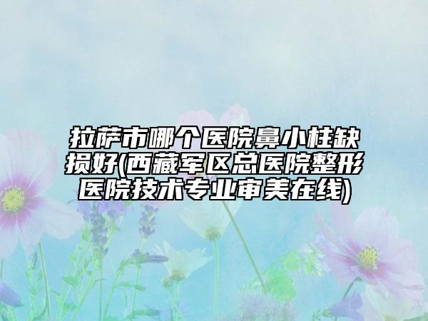 拉薩市哪個醫(yī)院鼻小柱缺損好(西藏軍區(qū)總醫(yī)院整形醫(yī)院技術(shù)專業(yè)審美在線)