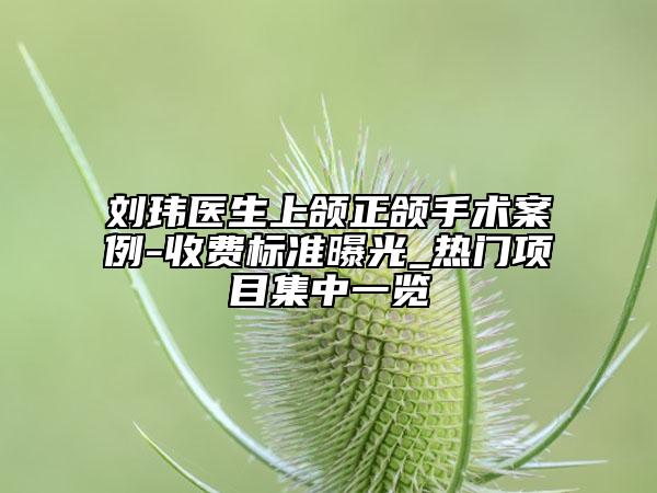 劉瑋醫(yī)生上頜正頜手術(shù)案例-收費(fèi)標(biāo)準(zhǔn)曝光_熱門項(xiàng)目集中一覽